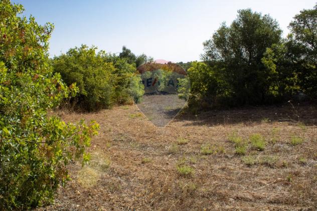 Terreno in vendita a Noto, Testa Dell'acqua - Foto 7