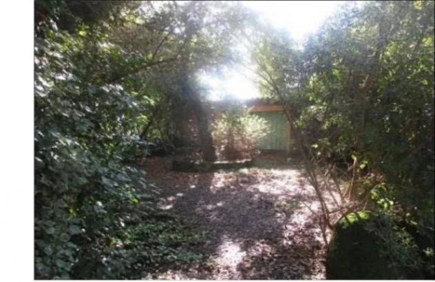 Immobile in asta di 4134 m² in vendita a Abbasanta - Foto 8