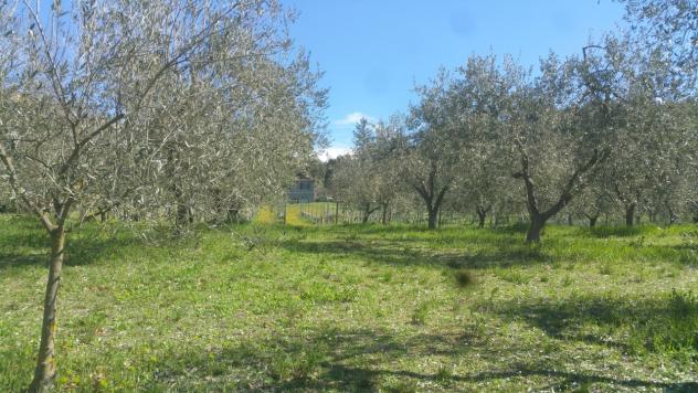 Seminativo in vendita a Lugnano in Teverina - Foto 8