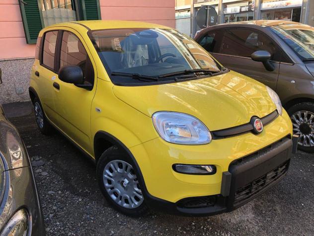 FIAT Pandina 1.0 FireFly 65cv S&S 6m Hybrid Pop