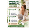 SMART WORKING NEL WELLNESS