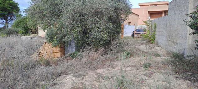 Agricolo in vendita a Marsala - Foto 4