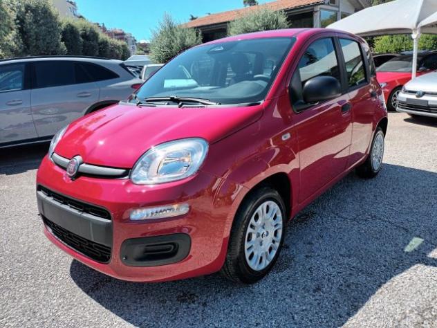 FIAT Panda 1000 HYBRID 70 CV PDC ITALIA rif. 23993231 - Foto 2