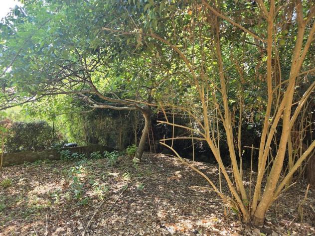 Casa semindipendente in vendita a Fossola - Carrara 140 mq Rif: 1334307 - Foto 9
