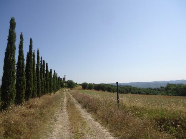 COLONICA di 950 mq (CASTELFIORENTINO) rif. C 190 - Foto 4