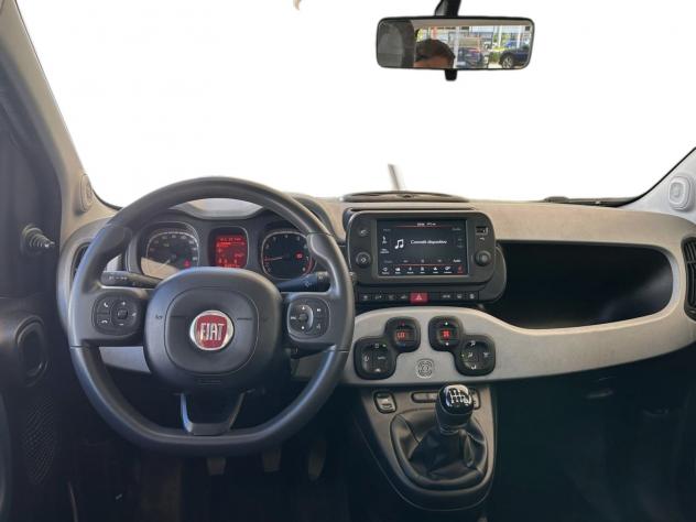 FIAT Panda Cross 1.0 FireFly 70 CV S&S Hybrid City Cross - Foto 9