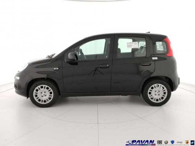 FIAT Pandina Panda 1.0 FireFly 65 CV Hybrid Icon - Foto 6