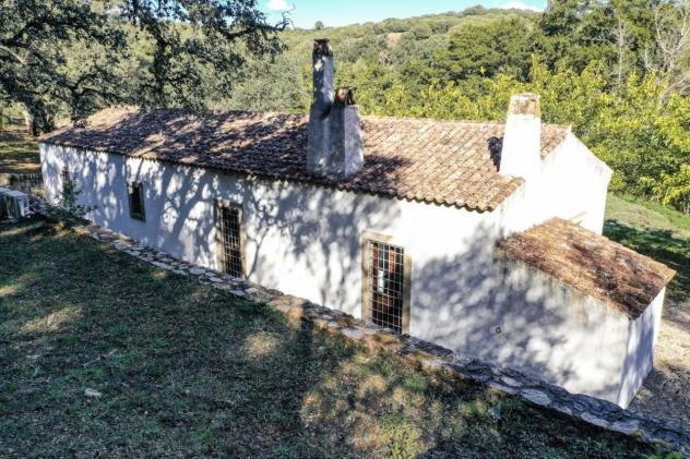 Casale in vendita a Lu Mocu - Luogosanto 126 mq Rif: 1351329 - Foto 7