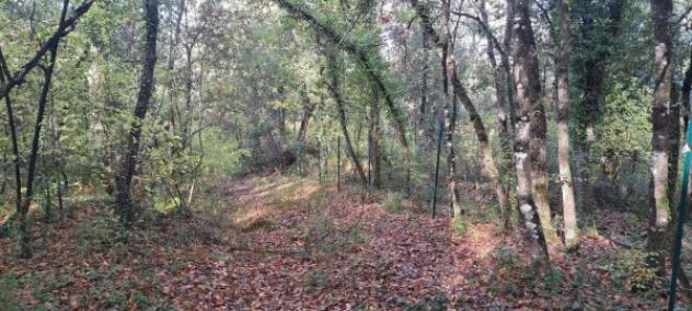 Immobile in asta di 9190 m² in vendita a Rapolano Terme - Foto 2