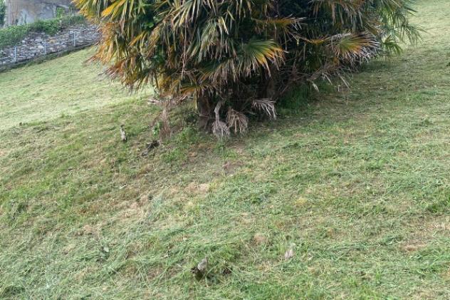 Immobile di 87 m² in vendita a Brissago-Valtravaglia - Foto 8