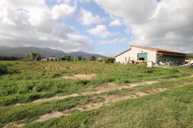 Capannone artigianale in vendita a Toringo - Capannori 400 mq Rif: 1074739 - Foto 5