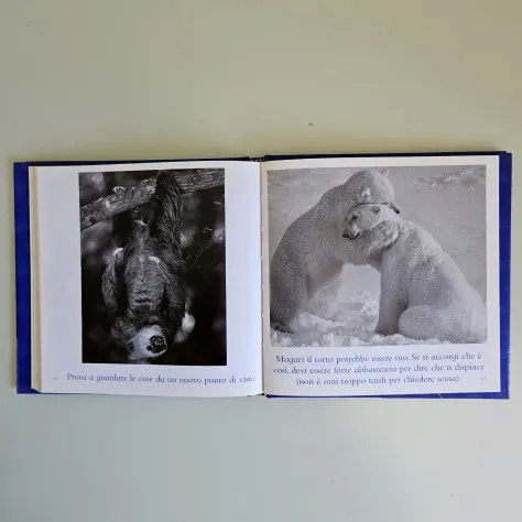 Il Libro Blu delle Coccole - Bradley Greive - Mondadori - 2004 - TRACCIATA! - Foto 8