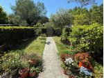 Rustico in vendita a Pisa 184 mq  Rif: 1414850