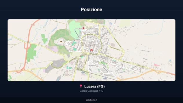 Immobile in asta di 403 m² con più di 5 locali in vendita a Lucera - Foto 8