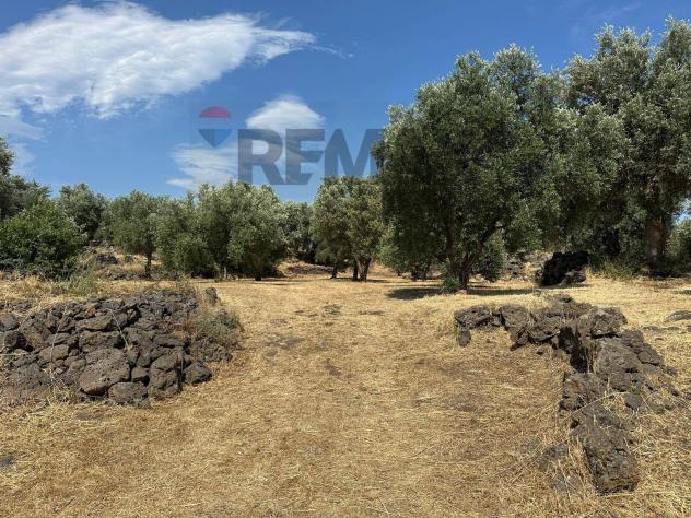Terreno in vendita a Misterbianco - Foto 10