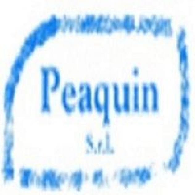 Peaquin  Srl Impianti Elettrici