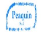 Peaquin  Srl Impianti Elettrici