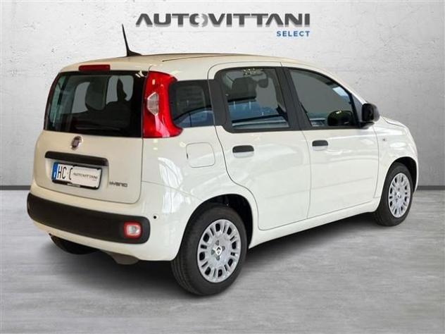 FIAT Panda Pandina 1.0 FireFly Hybrid 65cv Icon S&S 5p.ti rif. 24121707 - Foto 3