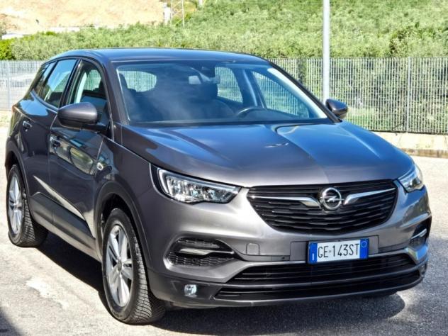 Opel Grandland X 1.5 d AT8 Business 69.000 KM. Telecamera - Foto 6