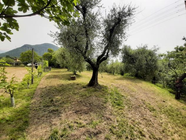 Terreno Agricolo - Roè Volciano . Rif.: 001 TA Trobiolo - Foto 16
