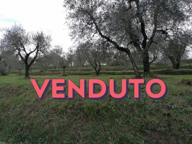 Terreno agricolo in vendita a Orceto - Casciana Terme Lari 3975 mq Rif: 1223667