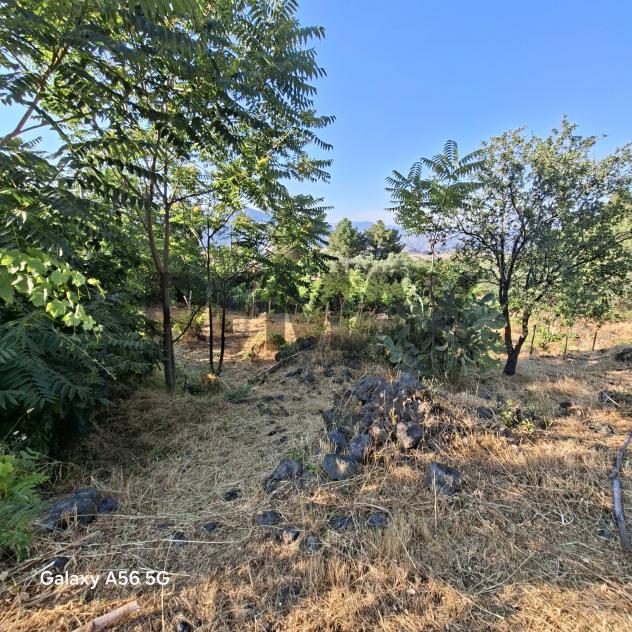 Terreno in vendita a Castiglione di Sicilia - Foto 5