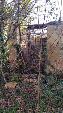Bellissimo Casale Diruto Da Restaurare Immerso nel Verde delle Colline Pisane della Valdera - Foto 9