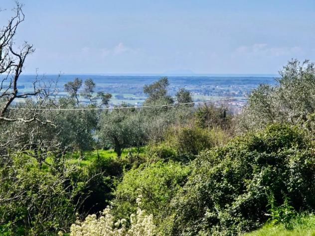 Rustico in vendita a Molina di Quosa - San Giuliano Terme 580 mq Rif: 1316948 - Foto 5