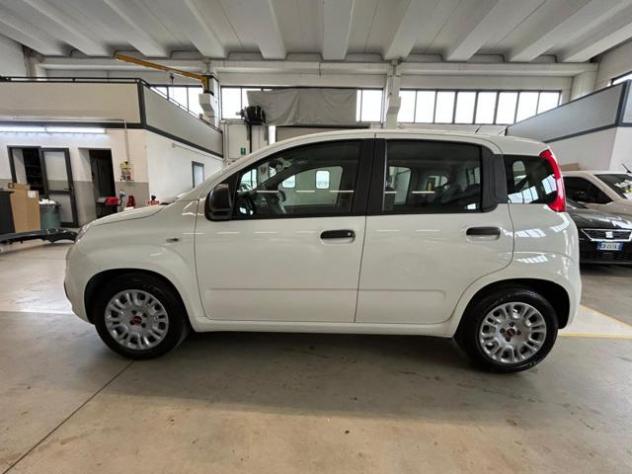 FIAT Panda 1.0 FireFly S&S Hybrid rif. 24056003 - Foto 8