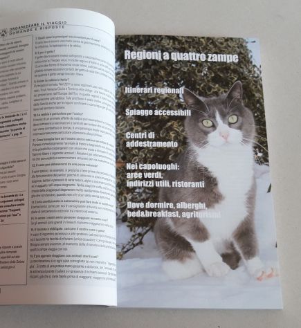 Viaggiare con cane e gatto - Foto 6