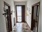 Offro camere singole in affitto