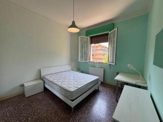 Stanza in appartamento in affitto a Bologna