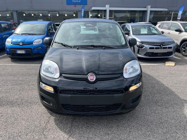FIAT Panda 1.0 FireFly 70cv S&S Hybrid Pandina - Foto 2