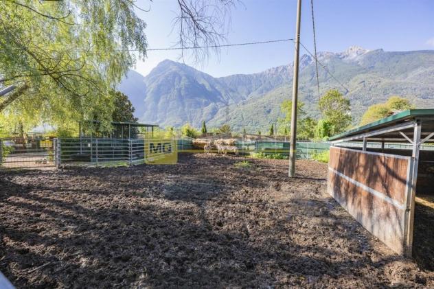 Si propone tenuta adibita ad allevamento per trasferimento attività - Foto 7