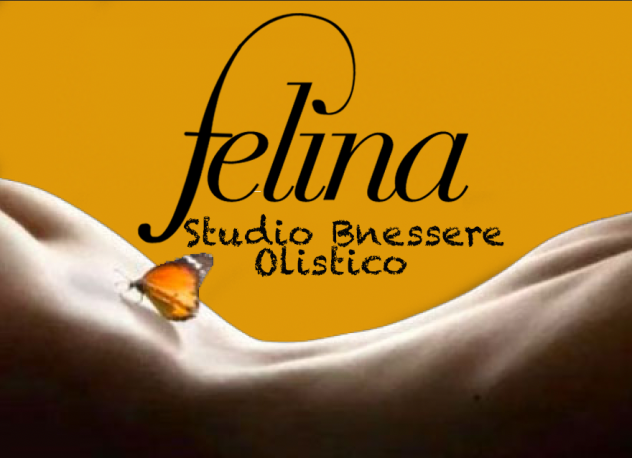 * FELINA V.I.P * 75 minuti di MASSAGGIO RECIPROCO .. PIACERE PURO Tel:3311958888