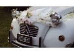 Citroen 2cv special per Matrimoni ed Eventi