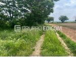 Terreno di 6530 mq  in vendita a Alessandria - Rif. 4544795
