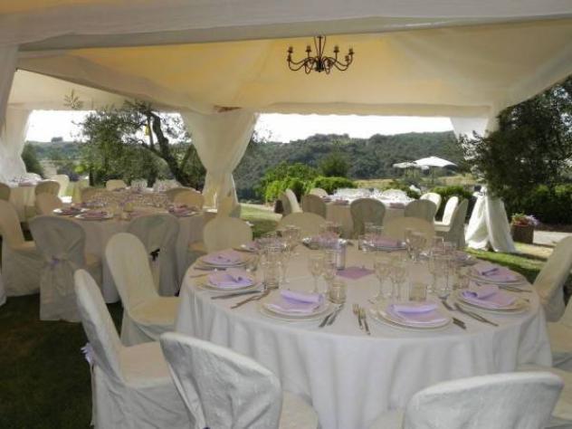 Agriturismo in vendita a Rapolano Terme 620 mq Rif: 616174 - Foto 3