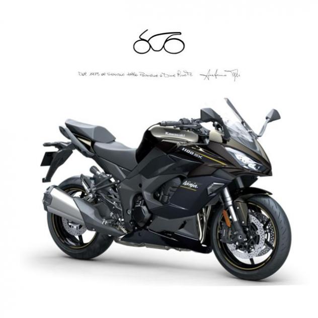 KAWASAKI Ninja 1100 SX . rif. 22932554
