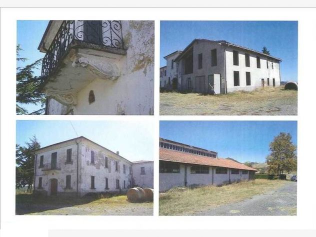 Azienda Agricola Biologica - Foto 2