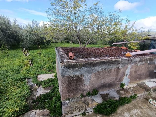 Uliveto in vendita a Paternò - Foto 6