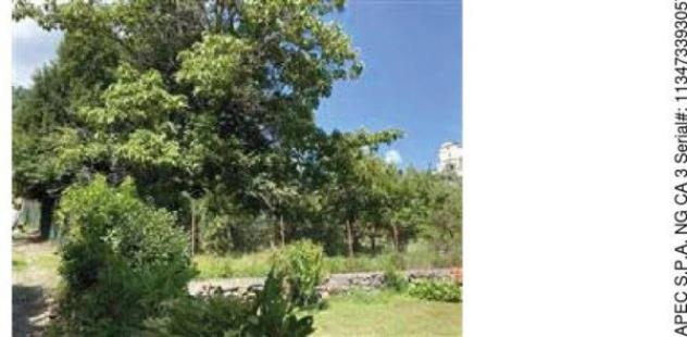 Immobile in asta di 870 m² in vendita a Poggiridenti - Foto 2