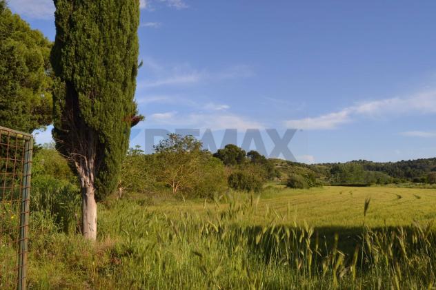 Terreno in vendita a Rosolini - Foto 4