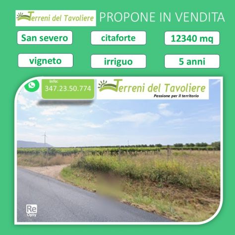 Vingeto San Severo - Citaforte