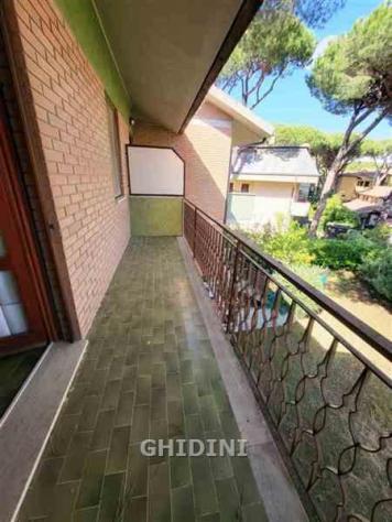 APPARTAMENTO INDIPENDENTE di 7 vani e di 220 mq (GROSSETO - ROSMARINA) rif. 2555.406M.501 - Foto 12