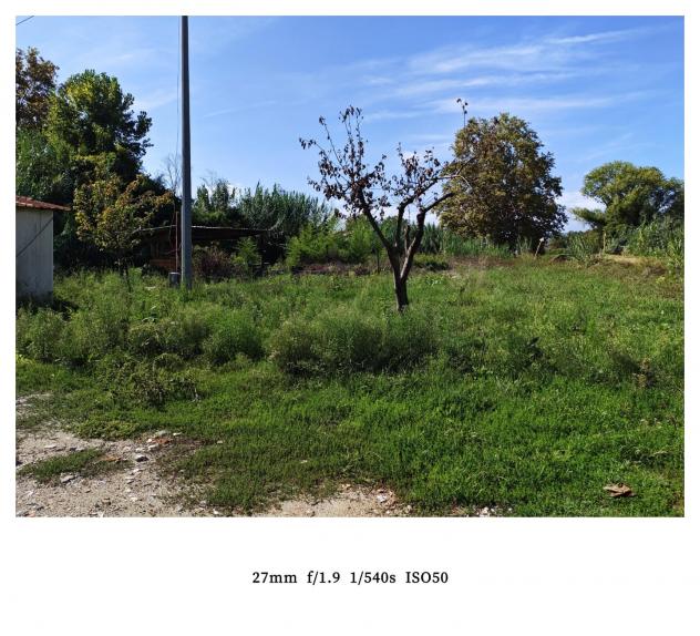 Terreno agricolo in vendita a Battilana - Carrara 1300 mq Rif: 1452305