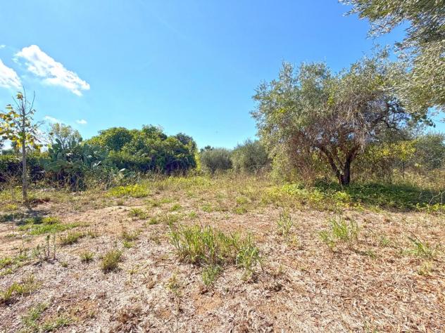 Terreno agricolo in vendita a Cecina 4648 mq Rif: 1448274 - Foto 2