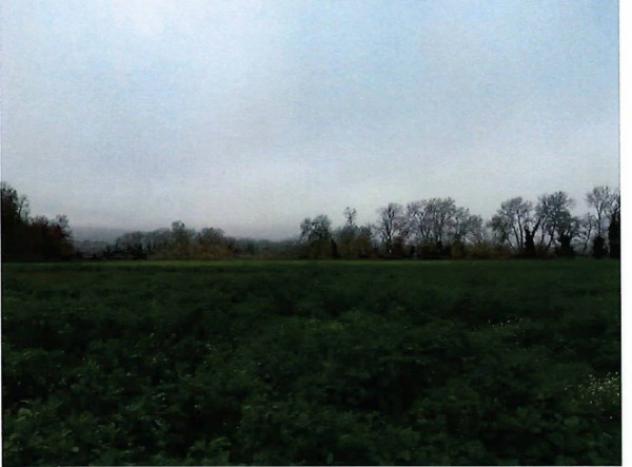 Immobile in asta di 70800 m² in vendita a Orte - Foto 4
