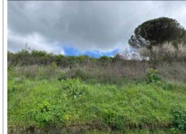 Immobile in asta di 23081 m² in vendita a Osilo - Foto 12