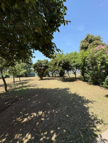 Vendesi Casa singola a Fossò circa a 500 m dal centro.
Al piano terra presenta un ingresso, un bagno, lavanderia/CT, garage, ripostiglio, cantina.
A - Foto 4